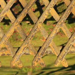 Leg dig klog: Derfor er leg vigtig for børns udvikling