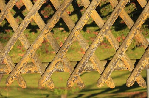 Leg dig klog: Derfor er leg vigtig for børns udvikling