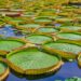 Fra fjer til memory foam: En guide til pudernes verden